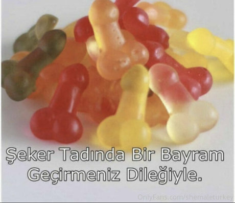 shemaleturkey 美しいスター アーカイブ