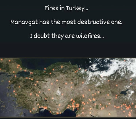 shemaleturkey アダルトスター 写真