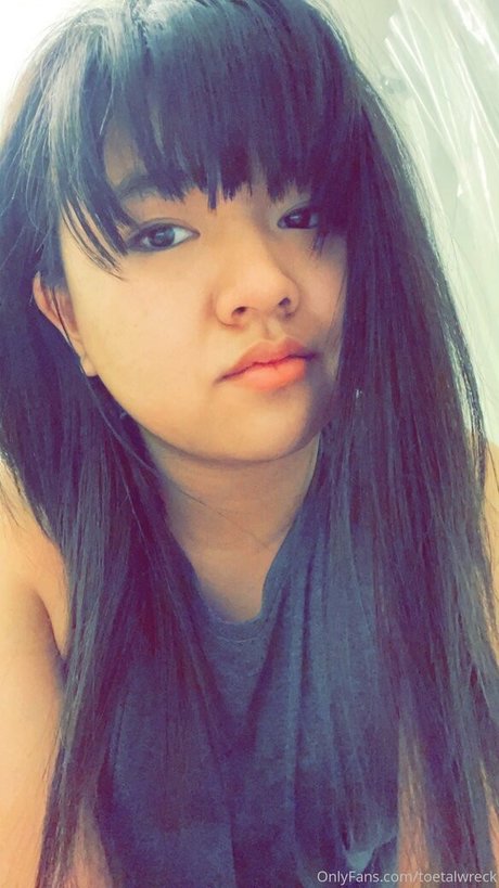 toetalwreck 高品質のスター アーカイブ