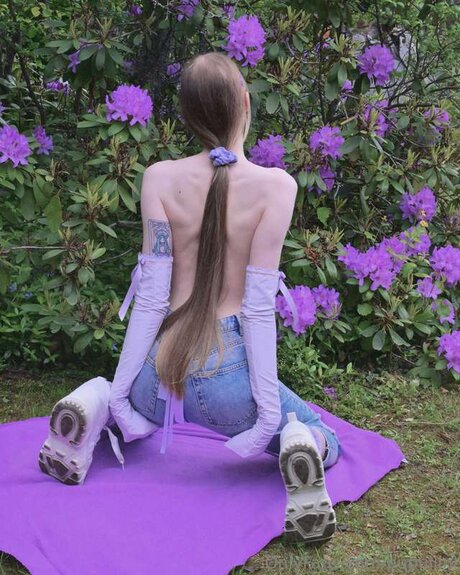 Pupuliini HDスター 写真