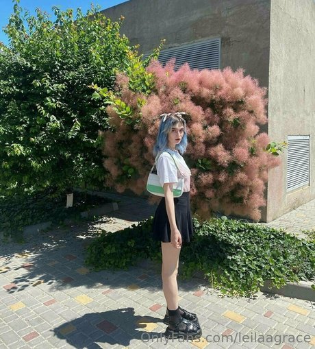 leilaagrace ポルノスター トップ ギャラリー