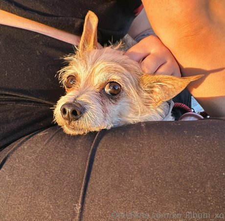 x cherrybxmb x ポルノスター アート 画像