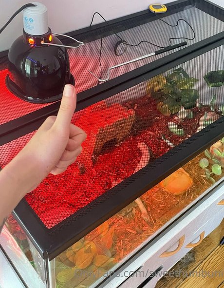 PPVなしOnlyFans ヌード ギャラリー