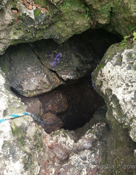 shasha meow ヌードモデル ギャラリー