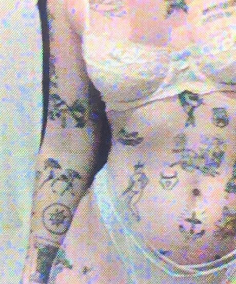 Velvetears xxxスター 写真