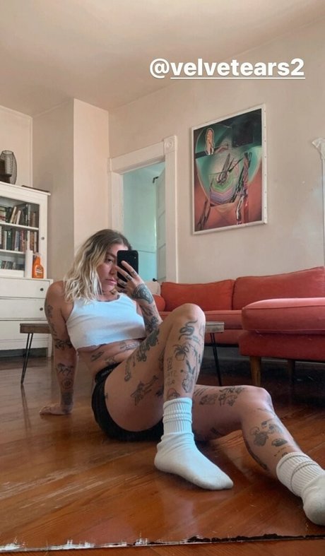 Velvetears profile image