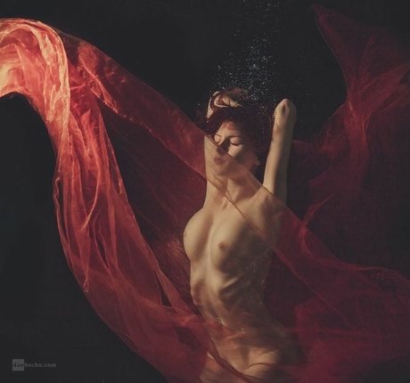 アナルビデオOnlyFans 限定 写真