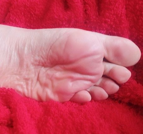 Feetvampire ポルノ女優 写真