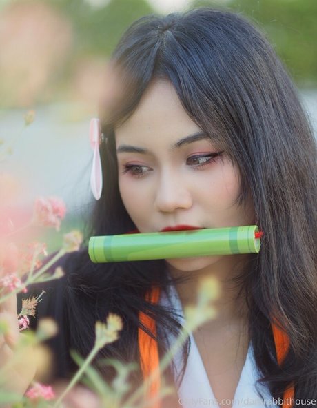 Darkrabbithouse 限定モデル ギャラリー