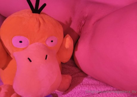 Megaptera セックスモデル 画像