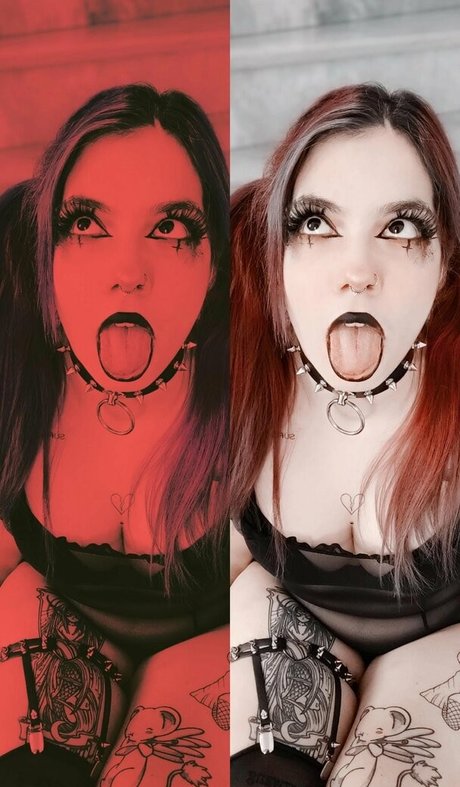 Megaptera 高品質モデル 写真