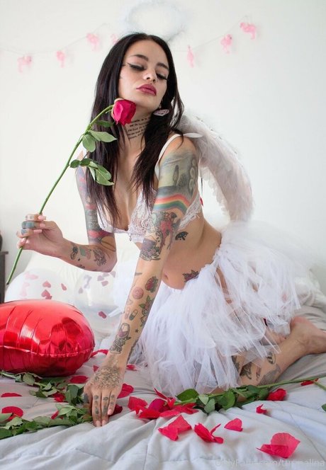 アナルパウグオンリーファンズ アダルト 画像