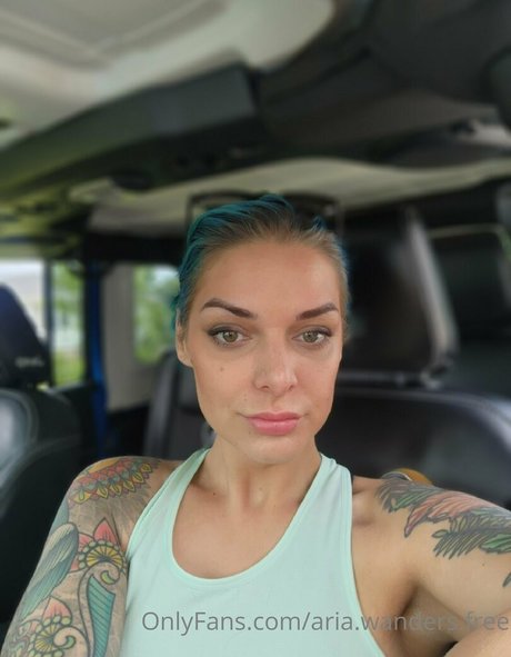 aria wanders free アートモデル 画像