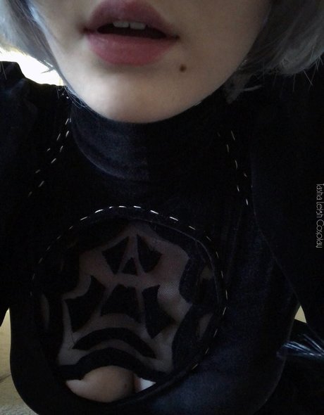 自然のみファン パーフェクト アーカイブ