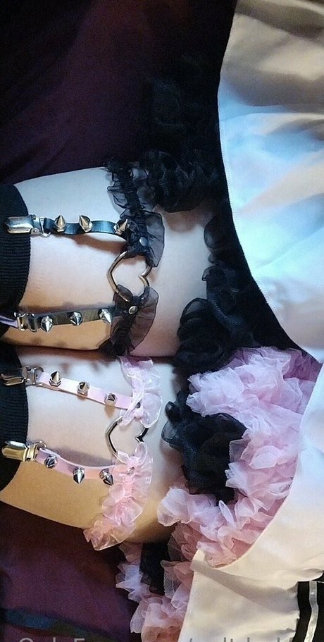 xalt babex 独占ポルノスター 写真