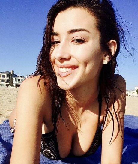 エボニートップオンリーファン ホット 画像