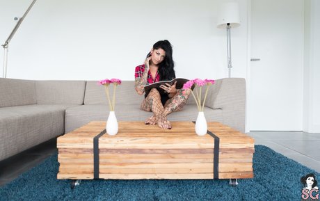 Alerose アートスター ギャラリー