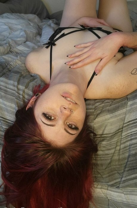 spookysnacking 限定スター アーカイブ