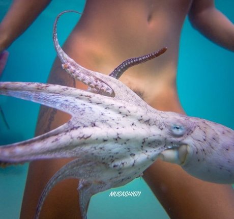 TheNakedIsland 完璧なスター 写真