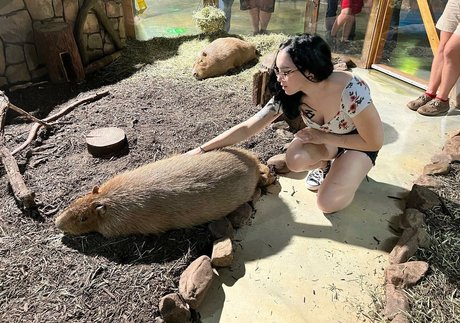 Amberthevalkyrie ヌード女優 画像