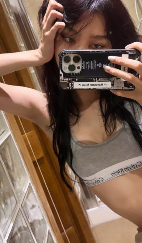 Ikari HDスター 写真