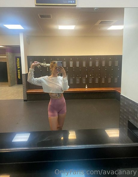 avacanary アダルトスター 写真