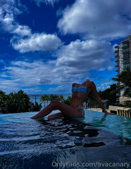 avacanary ホットなモデル 画像