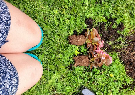 stevie stunner かわいいスター 写真