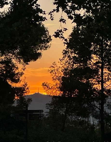 異人種間アナルOnlyFans 美しい 写真