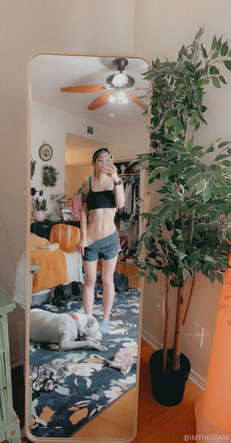 imthestarkfree ポルノスター パーフェクト アーカイブ