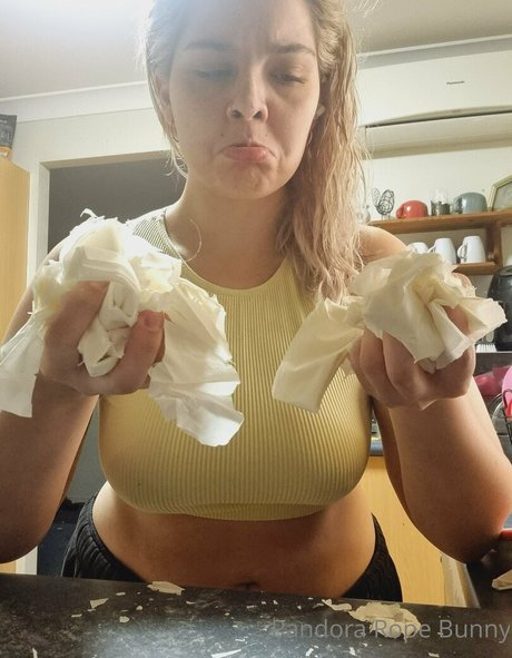 pandorabunny スター ギャラリー