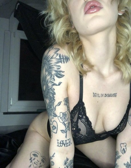 softgodess 美しいスター ギャラリー