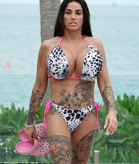 Katie Price 最高のスター ギャラリー