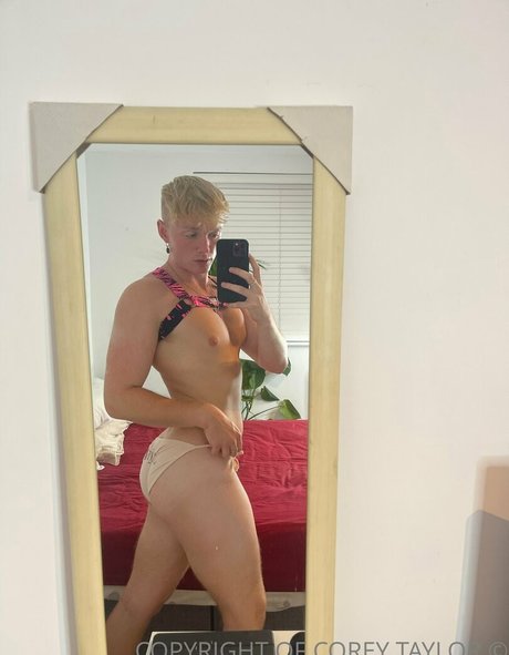 ハンズオンリーファン 無料 画像