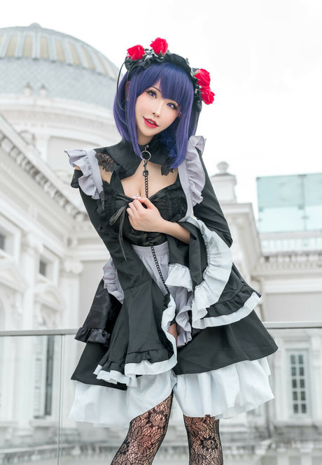 Plant Lily 美しいスター 写真