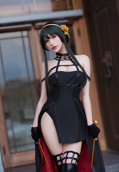 Plant Lily スター xxx 画像