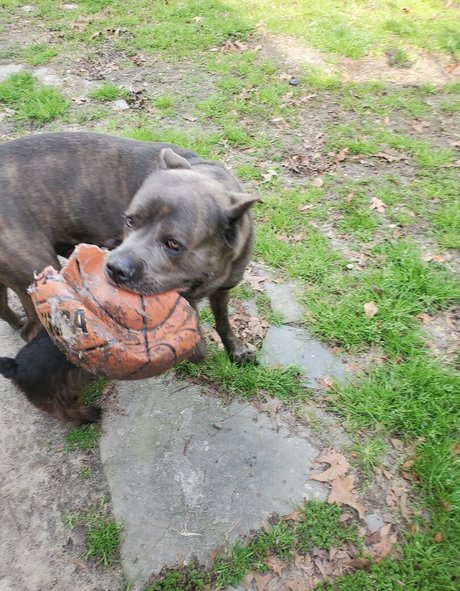 bee88i ヌードモデル 画像