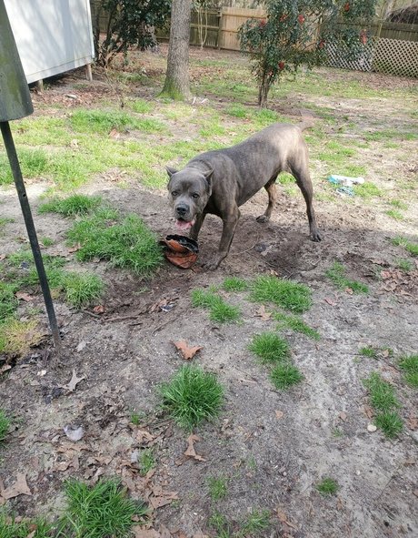 bee88i 最高のモデル 写真