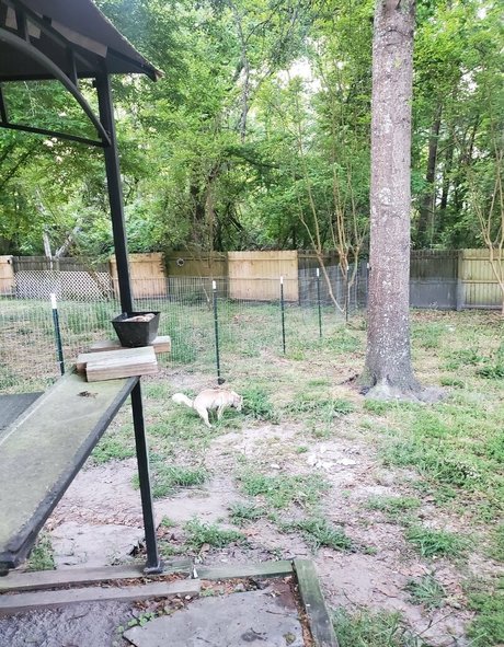 自然のみファン ホット裸 画像