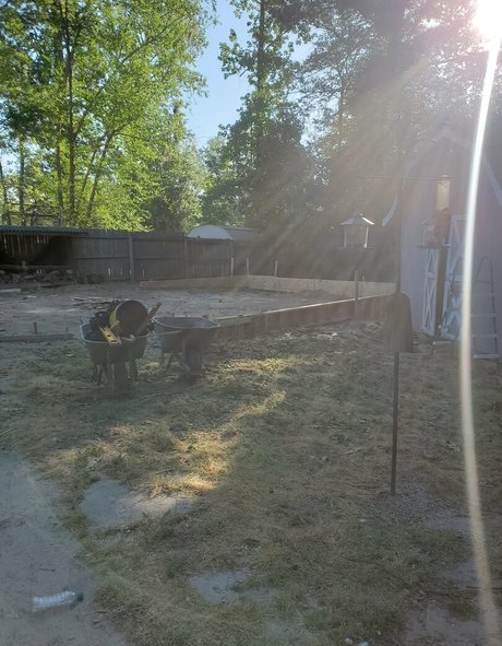 bee88i エロティックなモデル 写真