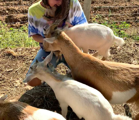 aryabendilisi スター xxx アーカイブ