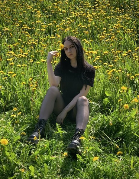 kittybar 最高のスター 画像