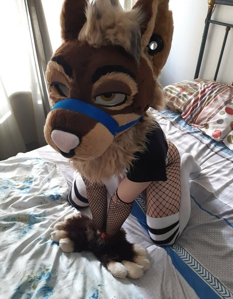 DMV オンリーファン ヌード 画像