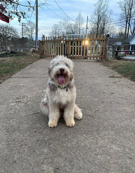 太った黒人女性OnlyFans 美しい アーカイブ