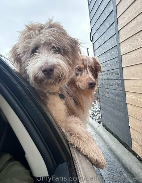 callmecandacee トップスター 写真