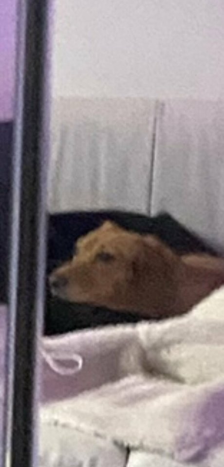 熟女オーガズムOnlyFans エロチック 写真