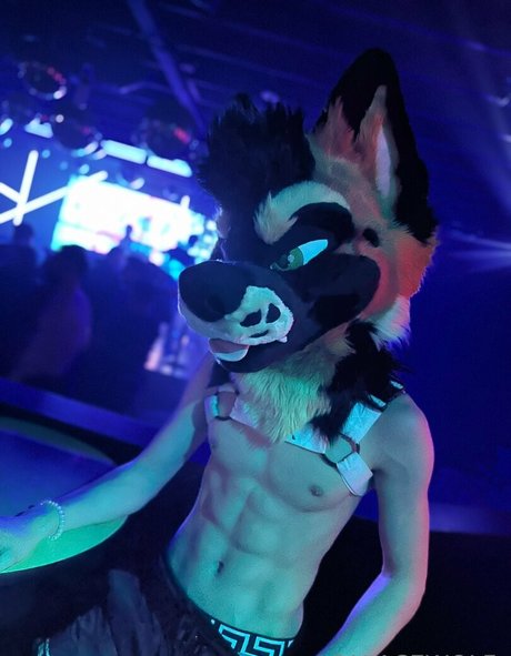 palacewolf ポルノ女優 写真