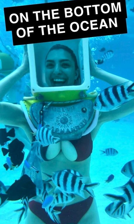 Rachel Levin top profile image