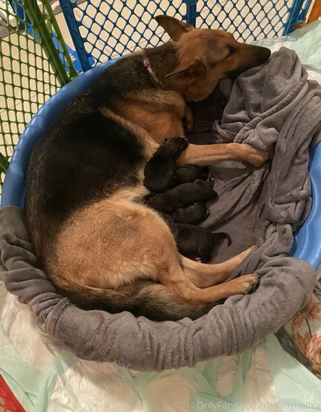 大きな黒い猫OnlyFans ポルノ 写真