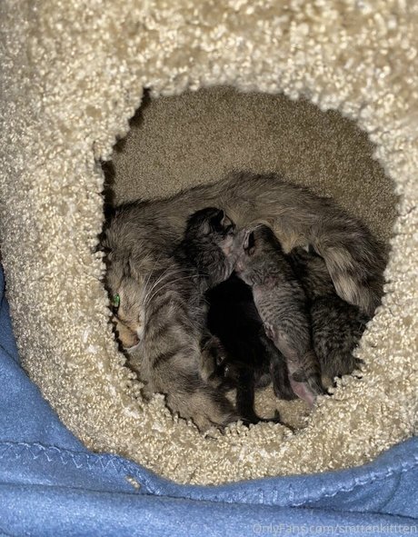 mollymaeve 限定スター 写真